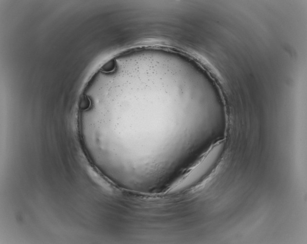 X0000108481421200904171601