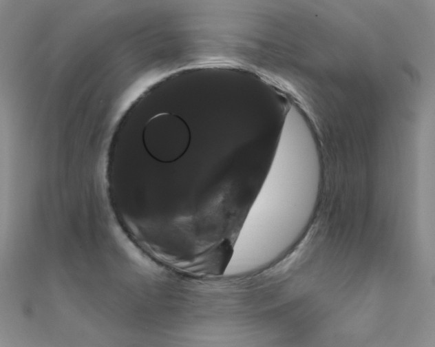 X0000108481422200904171601
