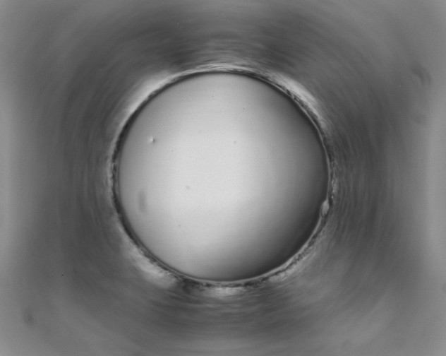 X0000108481423200904171601