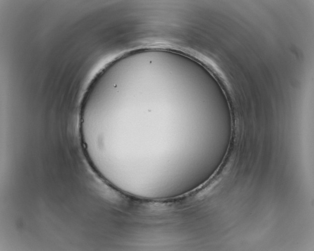 X0000108481424200904171601