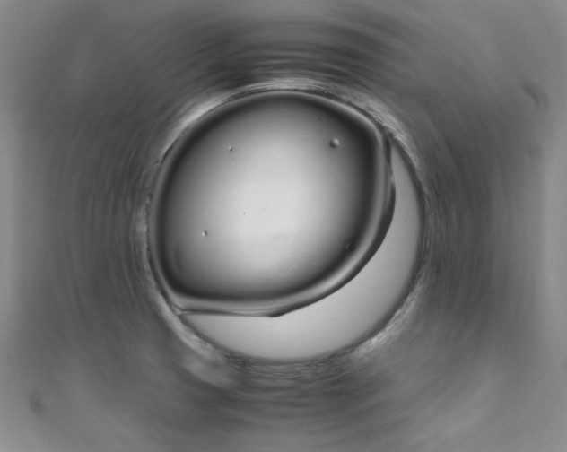 X0000108481425200904171601