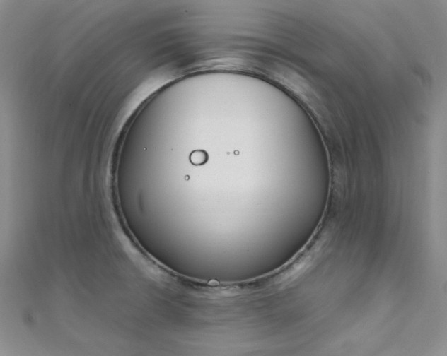 X0000108481426200904171601