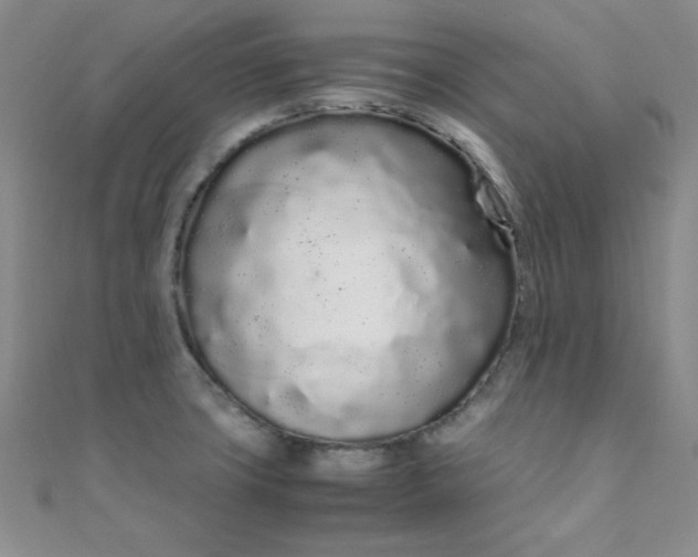 X0000108481427200904171601