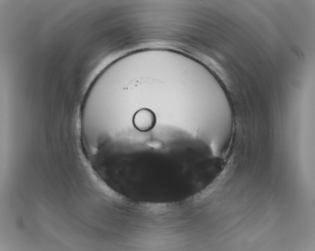 X0000108481428200904171601