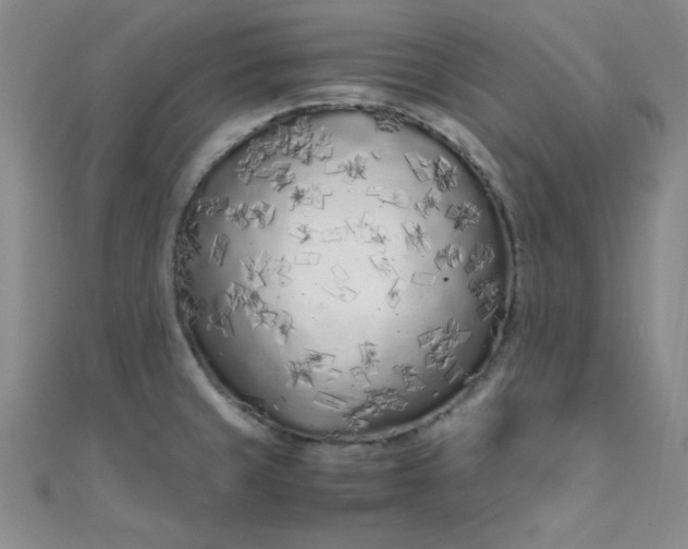 X0000108481429200904171601