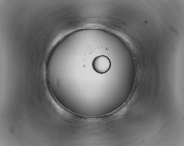 X0000108481430200904171601