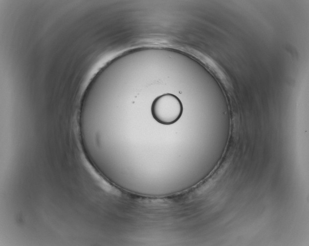 X0000108481432200904171601