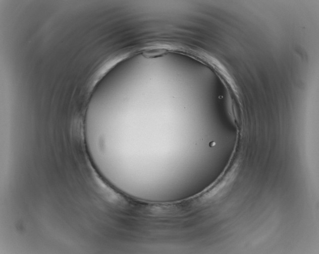 X0000108481433200904171601