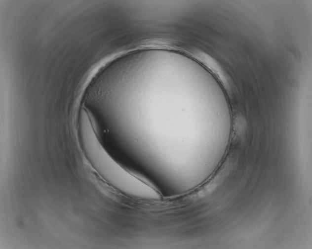 X0000108481435200904171601