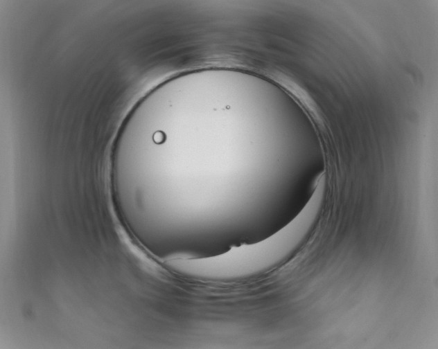 X0000108481439200904171601