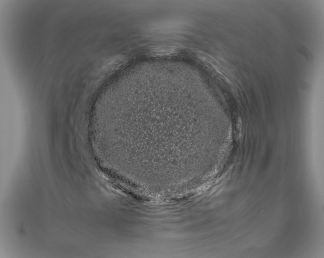 X0000108481441200904171600