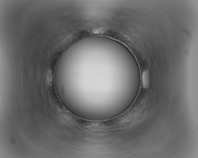 X0000108481443200904171600