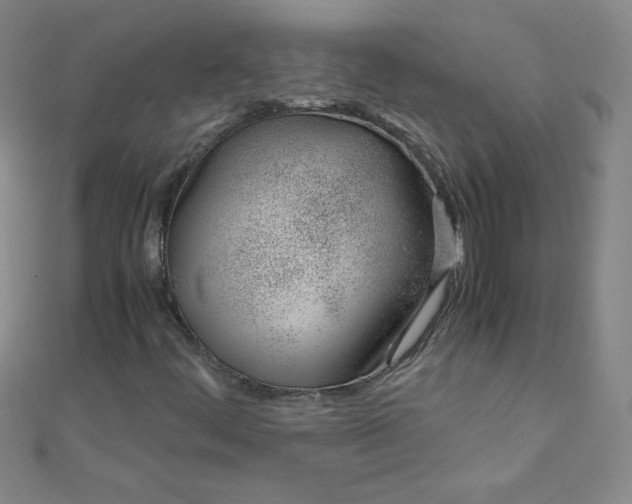 X0000108481444200904171600