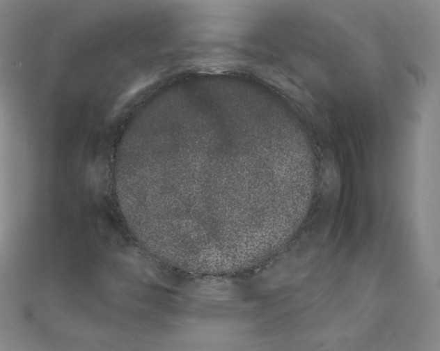 X0000108481446200904171600