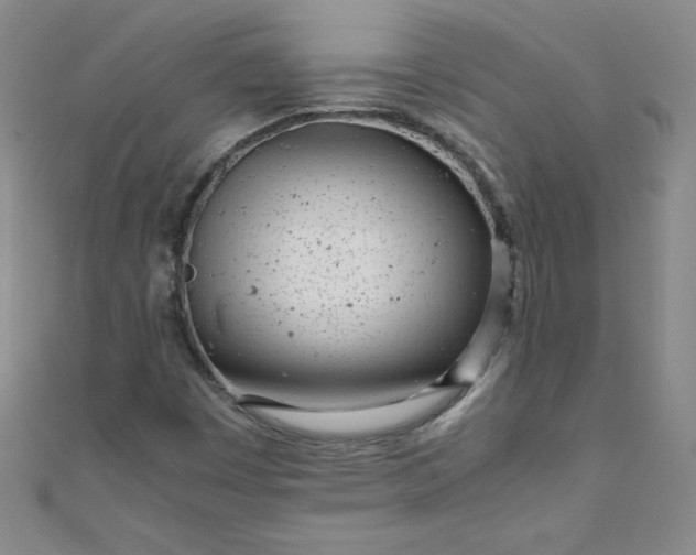 X0000108481449200904171600