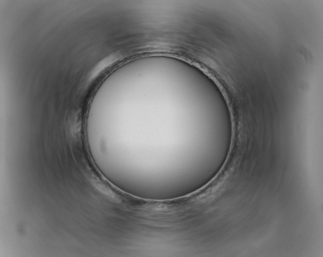 X0000108481450200904171600