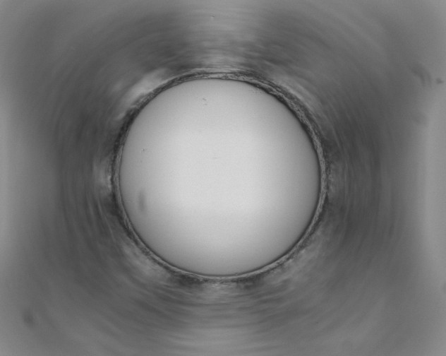 X0000108481451200904171600