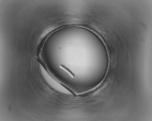 X0000108481453200904171600