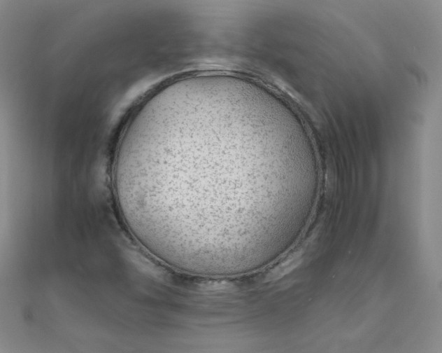 X0000108481454200904171600