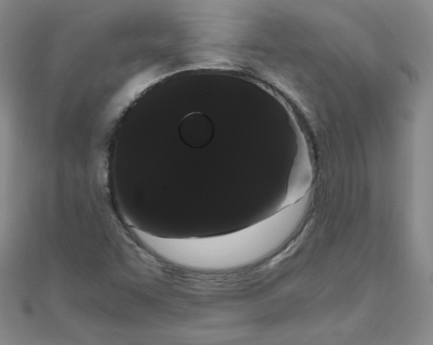 X0000108481455200904171600