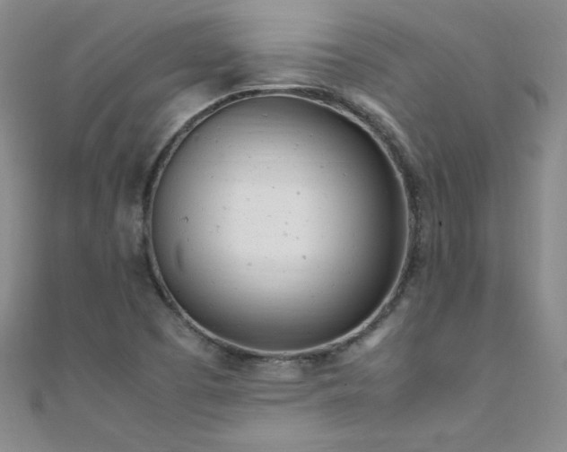 X0000108481457200904171600