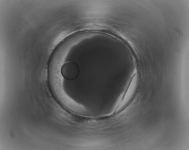 X0000108481459200904171600