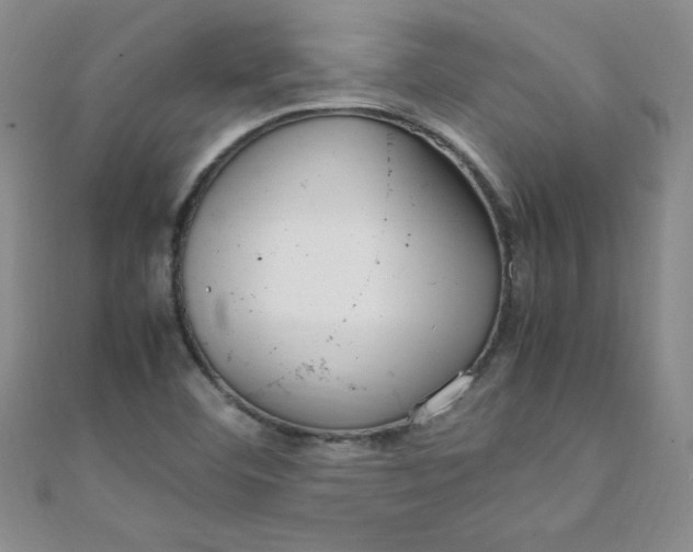 X0000108481460200904171600