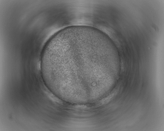 X0000108481462200904171600