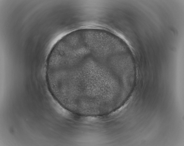 X0000108481463200904171600