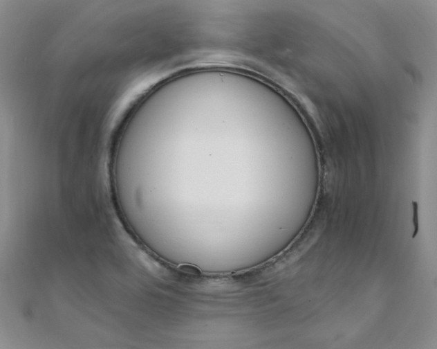 X0000108481464200904171600