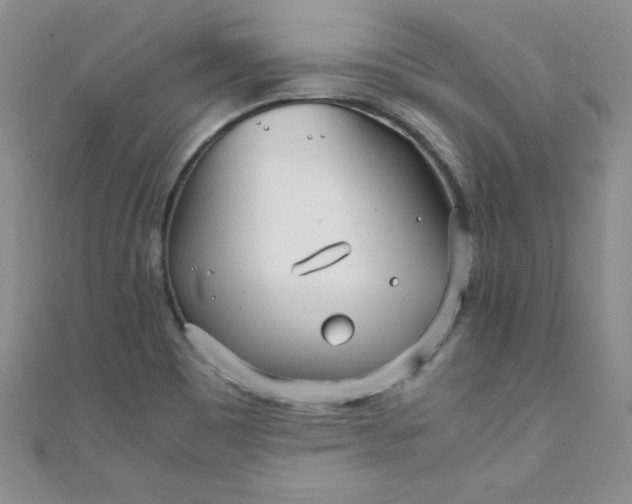 X0000108481465200904171600