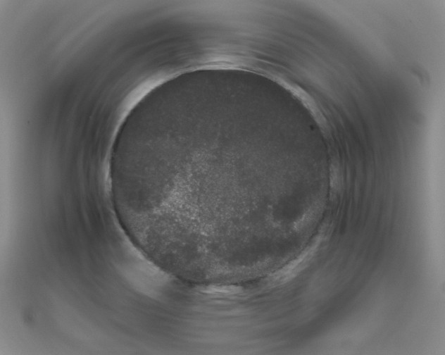 X0000108481466200904171600