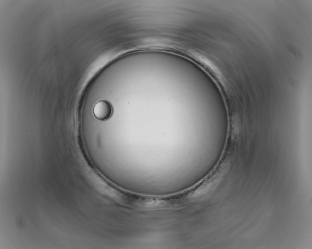 X0000108481467200904171600