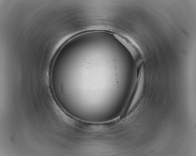 X0000108481468200904171600