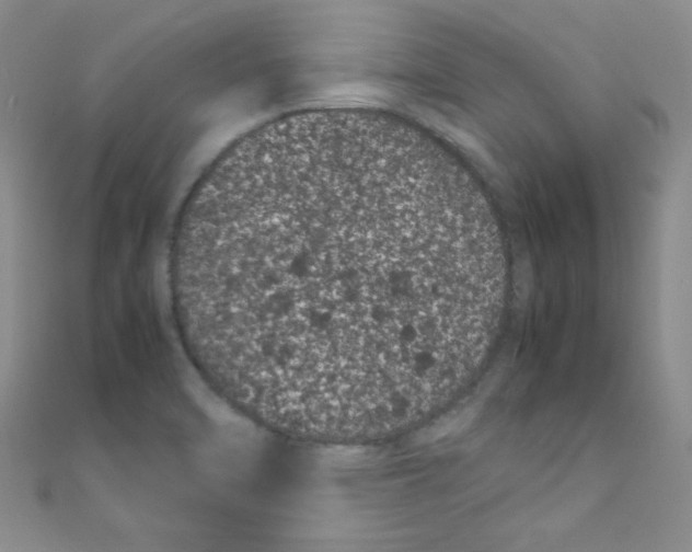 X0000108481470200904171600
