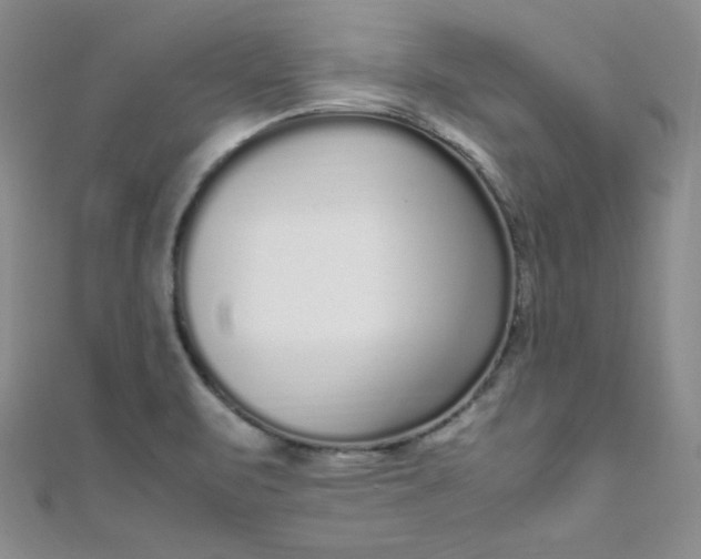X0000108481471200904171600