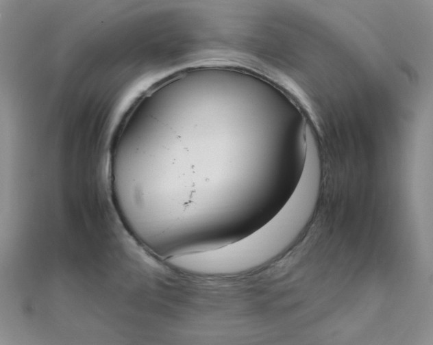 X0000108481472200904171600