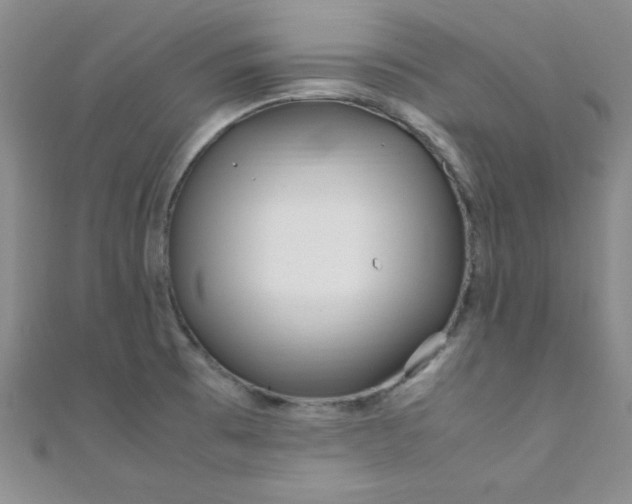 X0000108481473200904171600