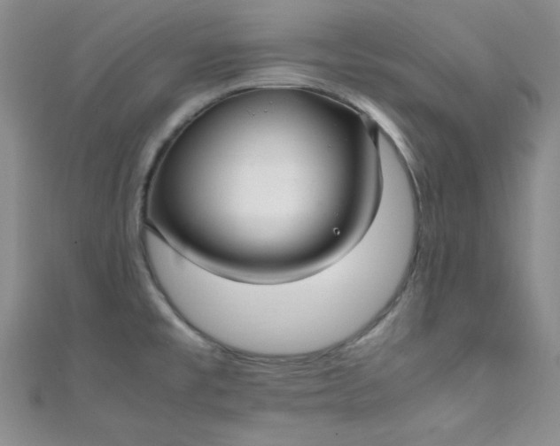 X0000108481477200904171600