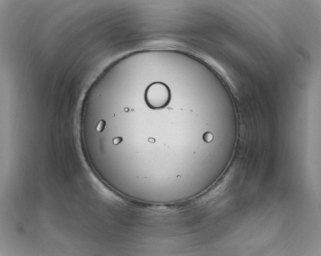 X0000108481478200904171600