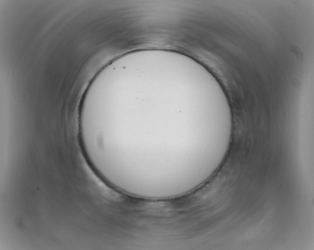 X0000108481479200904171600