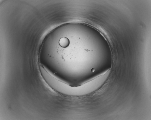 X0000108481480200904171600