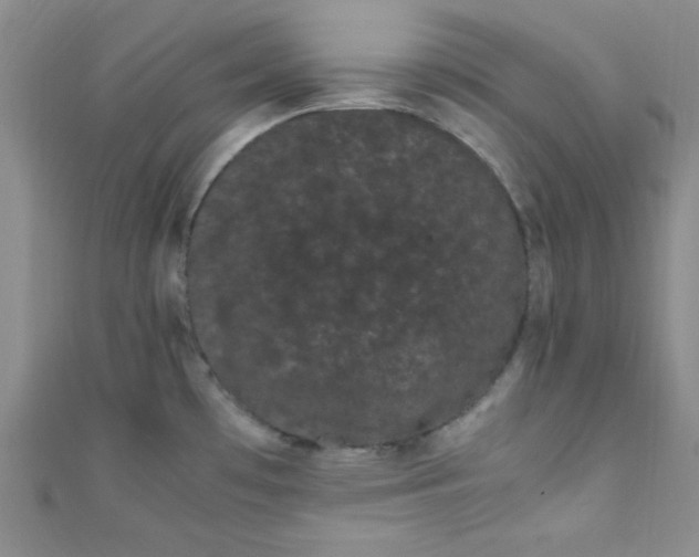 X0000108481481200904171600