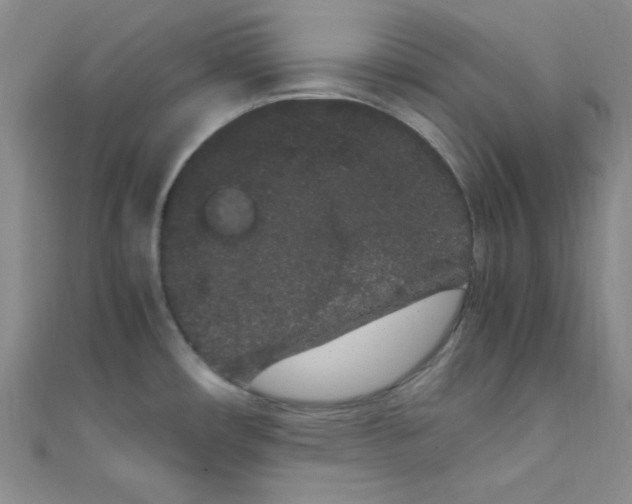 X0000108481482200904171600