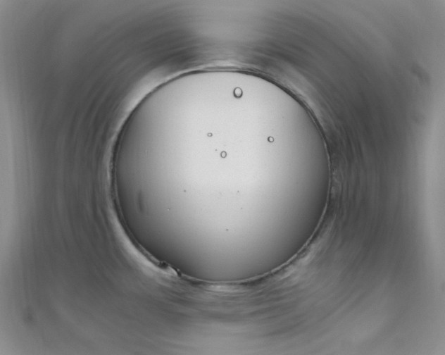 X0000108481483200904171600