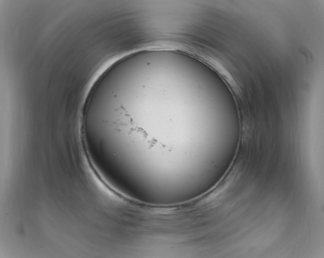 X0000108481484200904171600