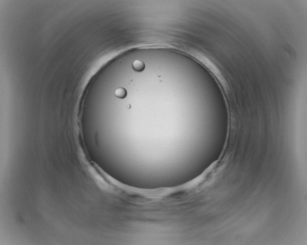 X0000108481485200904171600