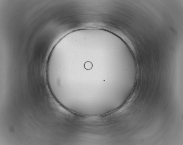 X0000108481486200904171600