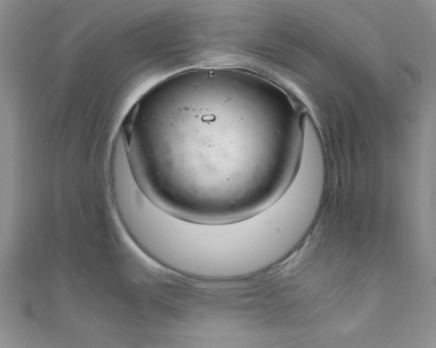 X0000108481487200904171600