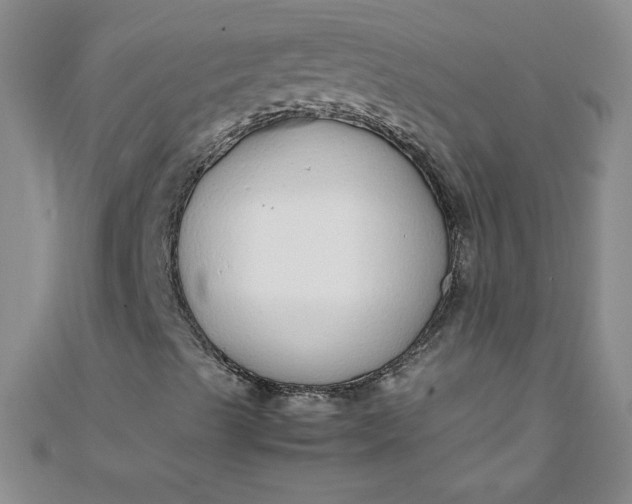 X0000108481489200904171559